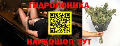 мдпв Брянск