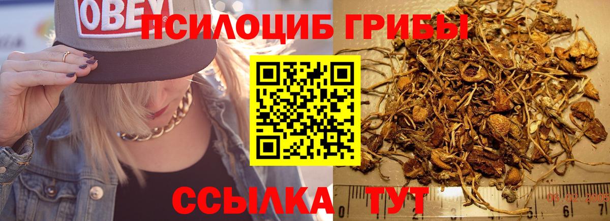 Галлюциногенные грибы мицелий Борисоглебск